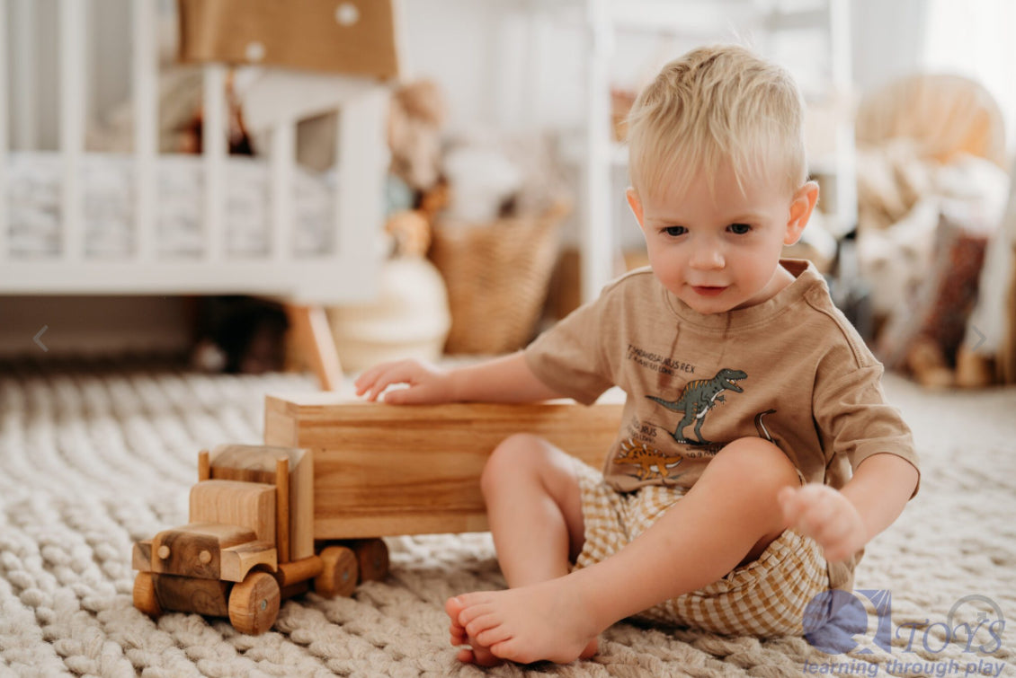 Qtoys Cargo Truck