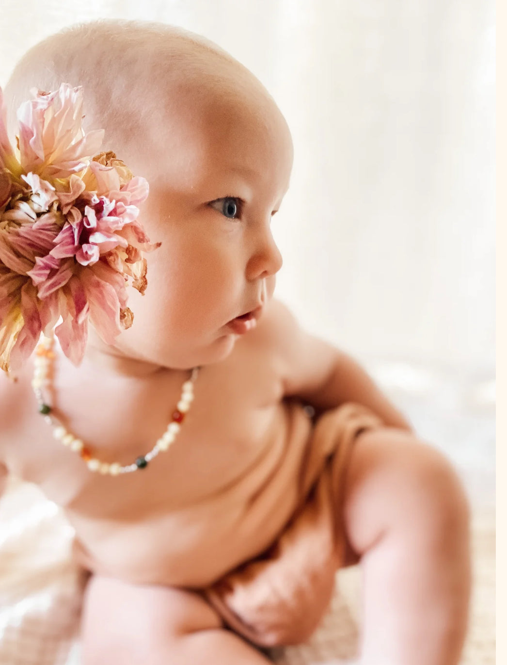 SeedsoftheSun - Bloem/Lumi