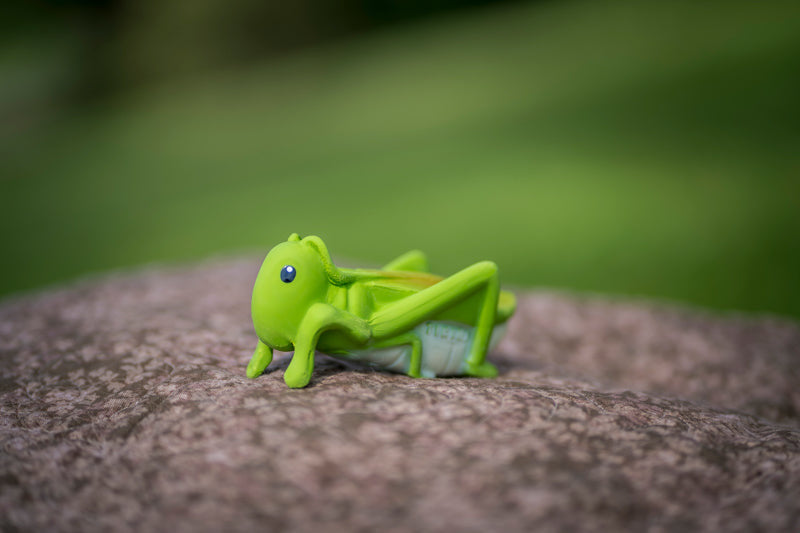 Tikiri - Natural Rubber - My First Tikiri Garden Friends