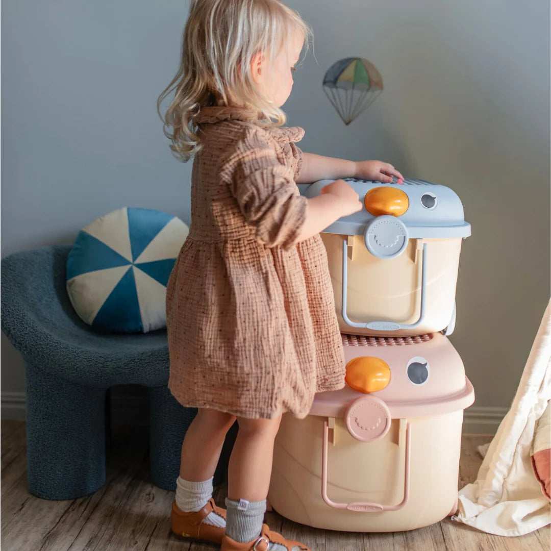 Cowrie & Conch - 'Ride a Long Storage' Tweet Tweet Cotton Candy - Large