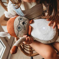 Brave and Able Breathing Buddies - Brave