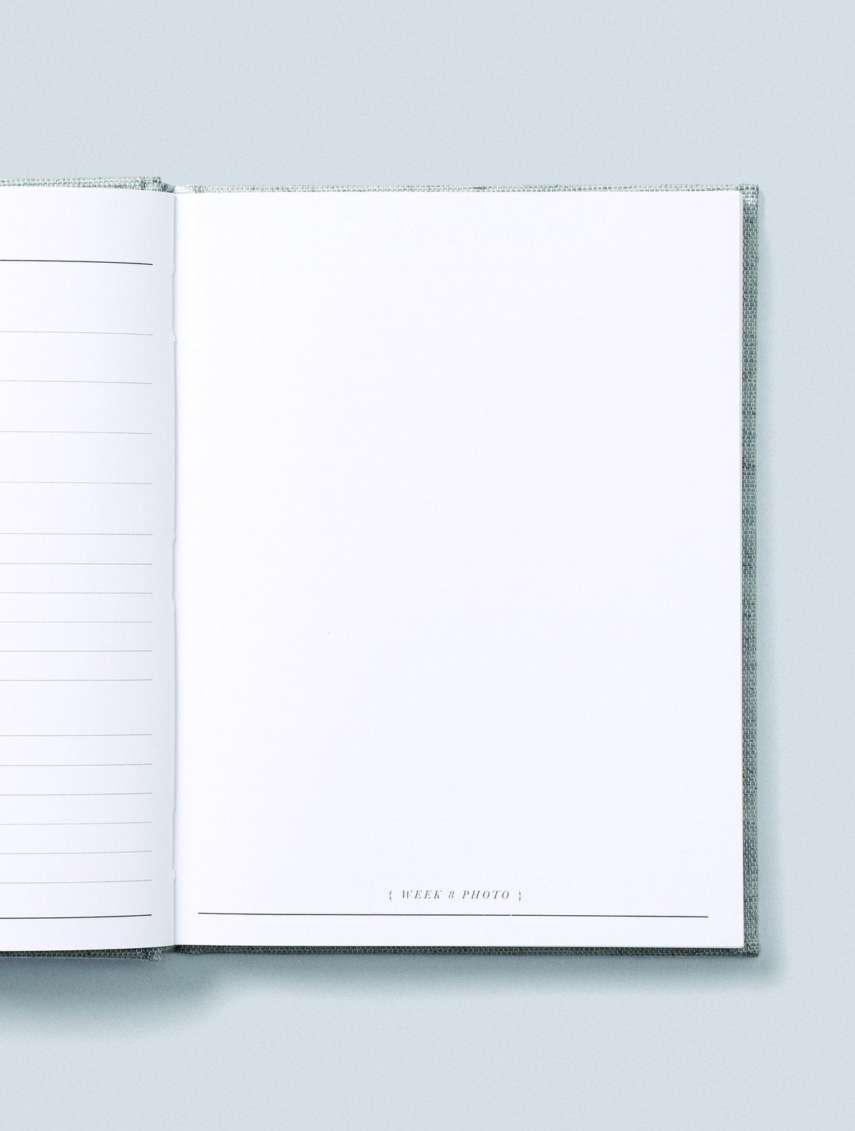 Write To Me - Bump.  A Pregnancy Story - Oatmeal