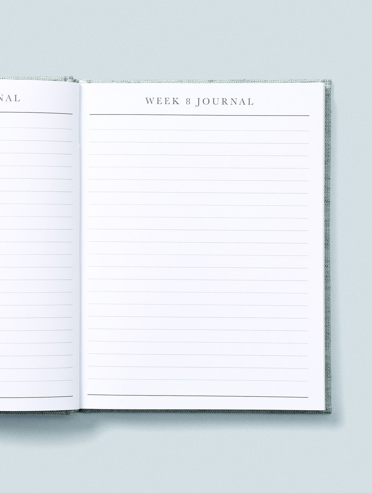 Write To Me - Bump.  A Pregnancy Story - Oatmeal