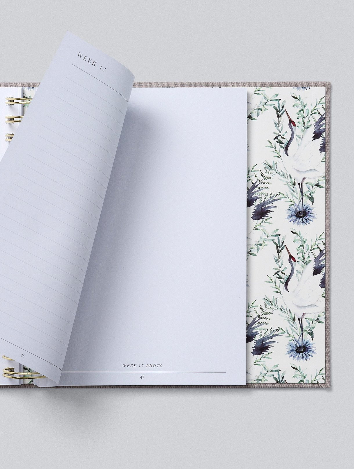 Write To Me - Bump. My Pregnancy Journal - Light Grey