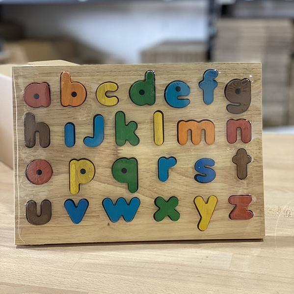 QToys Lower Case Letter Puzzle