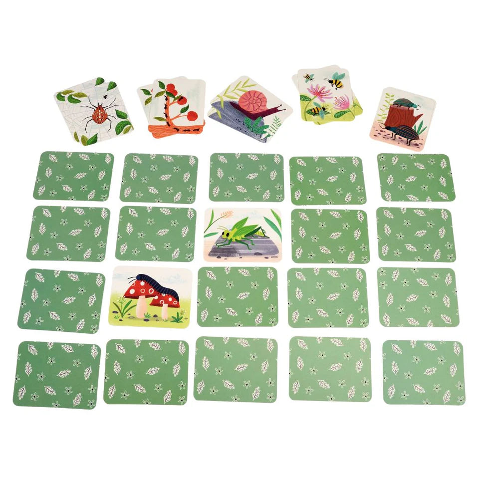 Rex London Wonders of Nature Memory Game