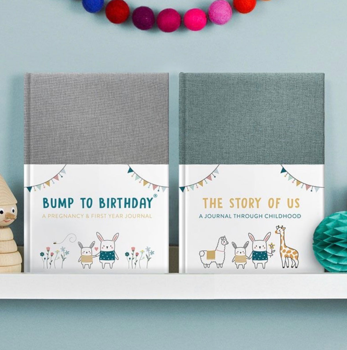 Bump to Birthday - A Pregnancy & First Year Journal