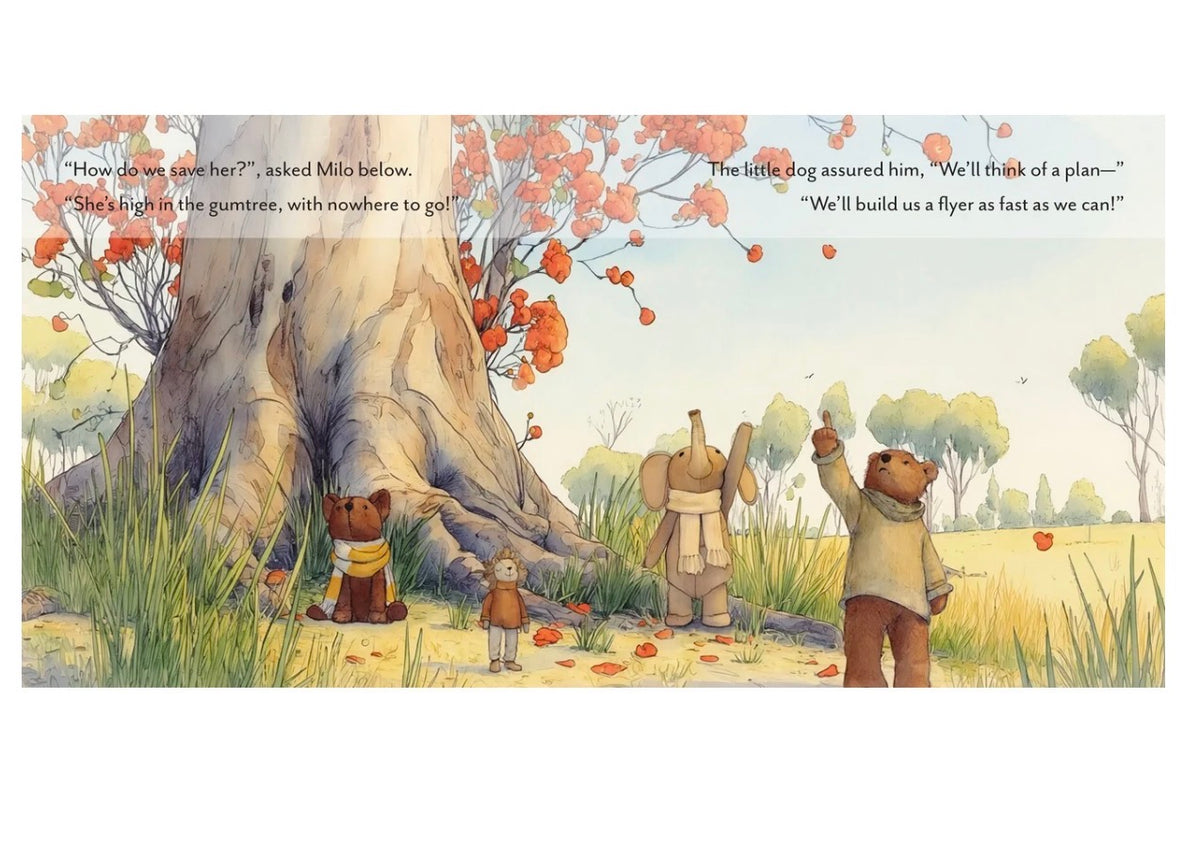and the little dog laughed - Giftable Book Box Set | The Little Dog and the Lost Duck