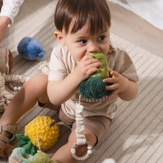 Stroller Toys Mini Market Brunch | Broccoli & Tomato