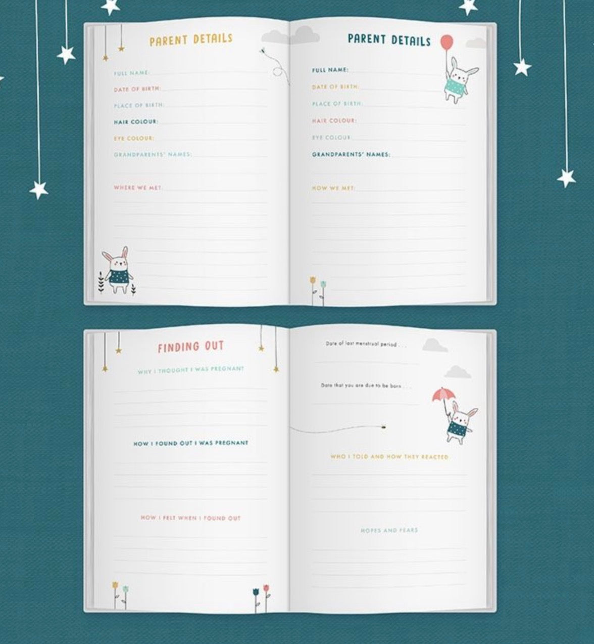 Bump to Birthday - A Pregnancy & First Year Journal