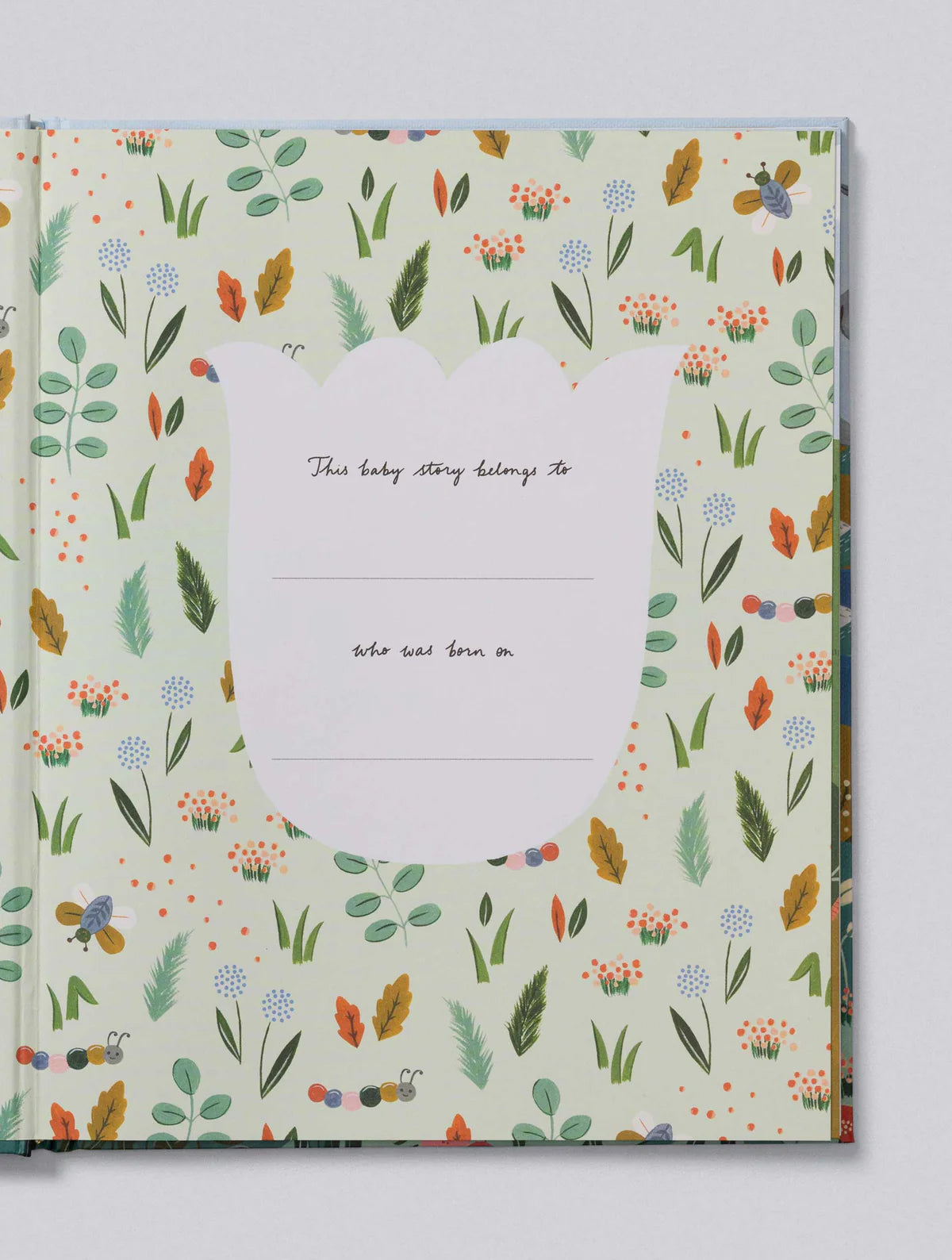 Write To Me Baby Your Baby Story