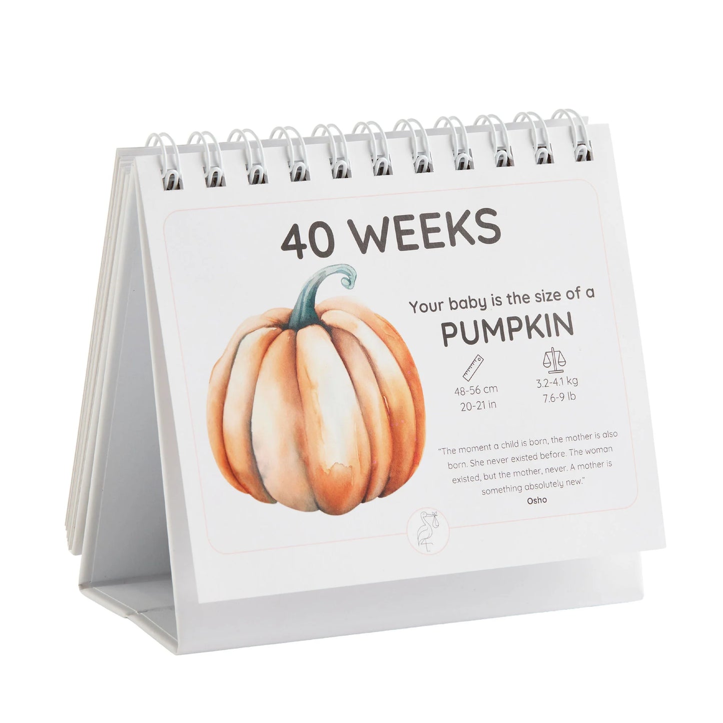 Newborn Nest - The Growing Miracle Pregnancy Calendar