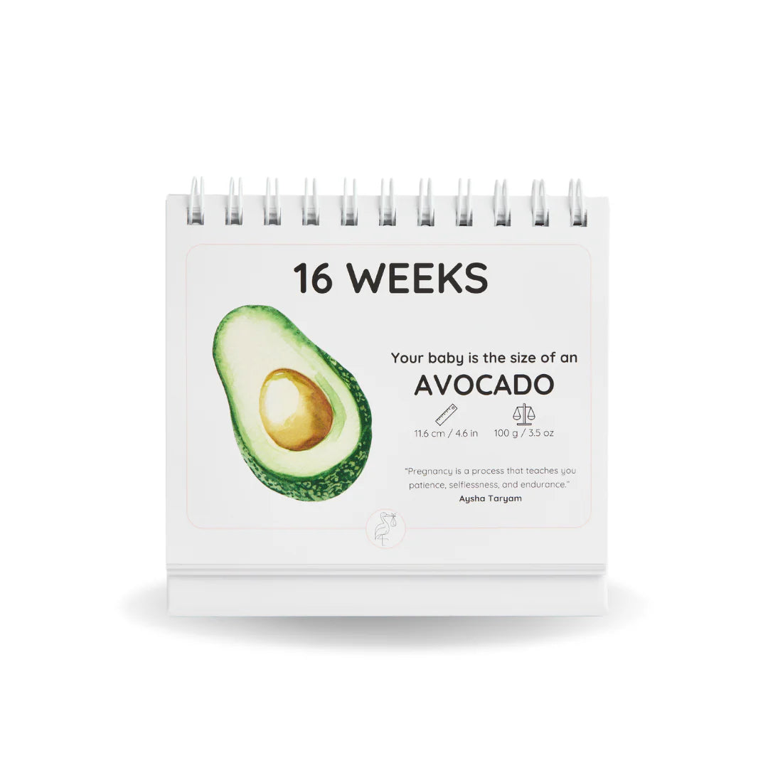 Newborn Nest - The Growing Miracle Pregnancy Calendar