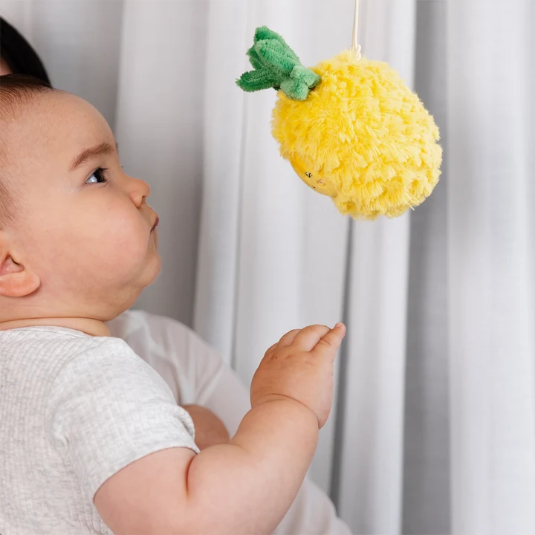 Stroller Toys Mini Market Brunch | Pineapple & Cherries