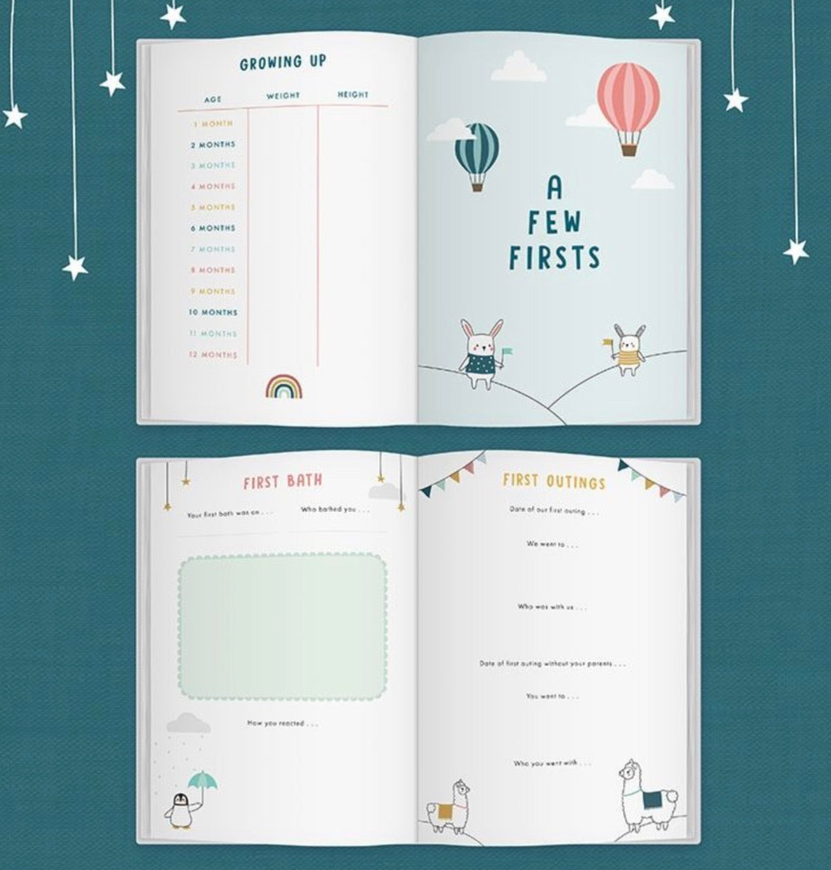 Bump to Birthday - A Pregnancy & First Year Journal