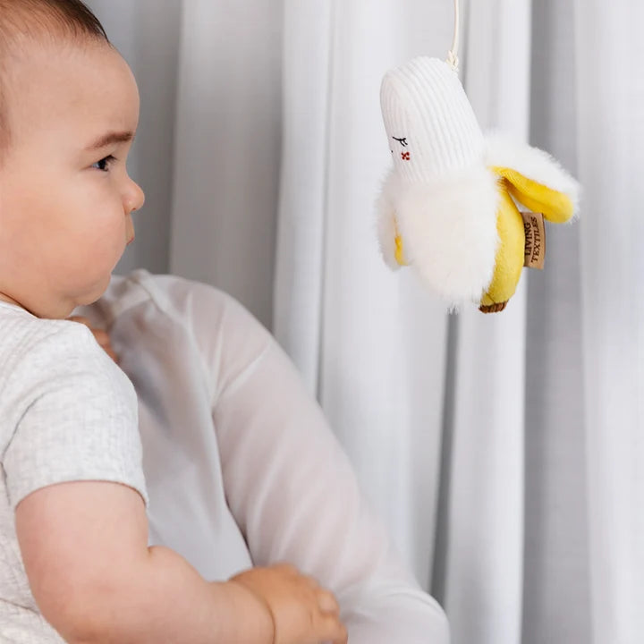 Stroller Toys Mini Market Brunch | Apple & Banana