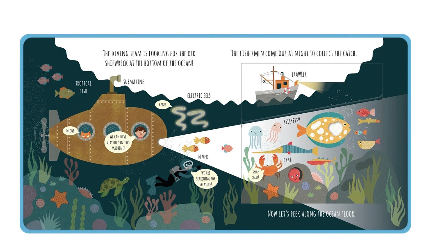 The Ocean Book - Peek inside the flaps