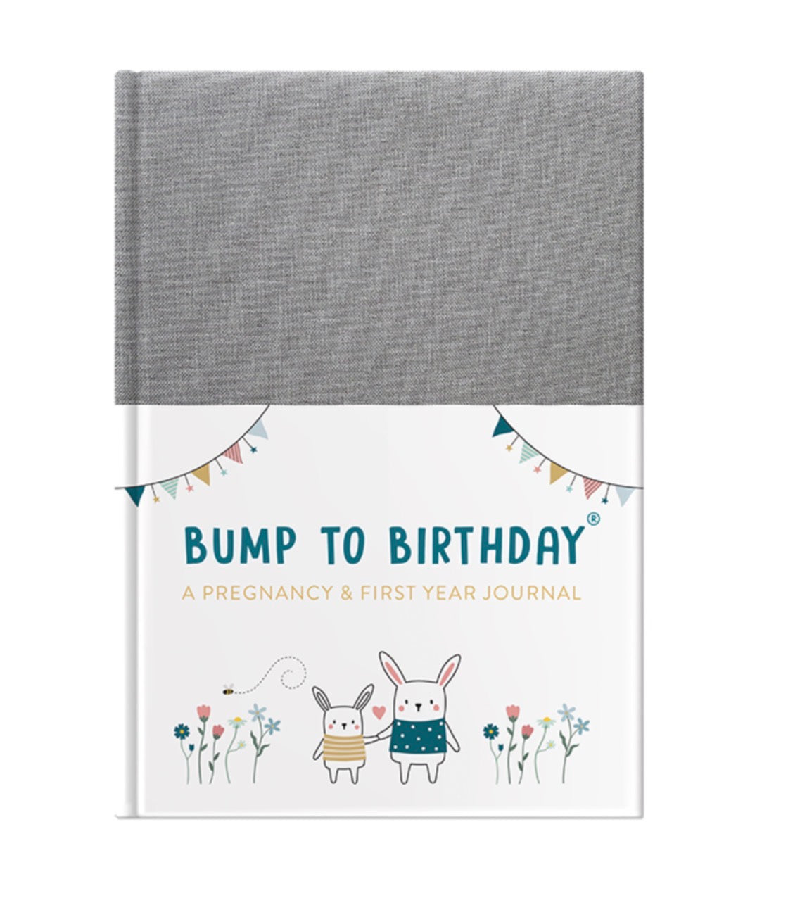 Bump to Birthday - A Pregnancy & First Year Journal
