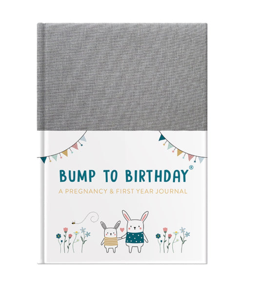 Bump to Birthday - A Pregnancy & First Year Journal