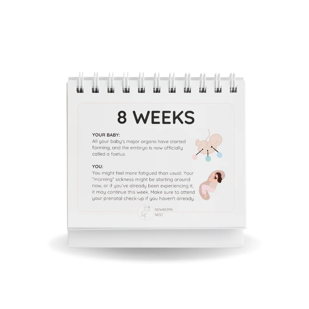 Newborn Nest - The Growing Miracle Pregnancy Calendar
