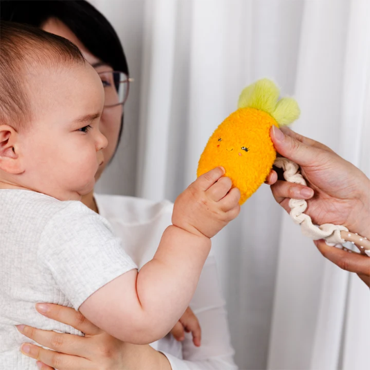 Stroller Toys Mini Market Brunch | Carrot & Green Peas