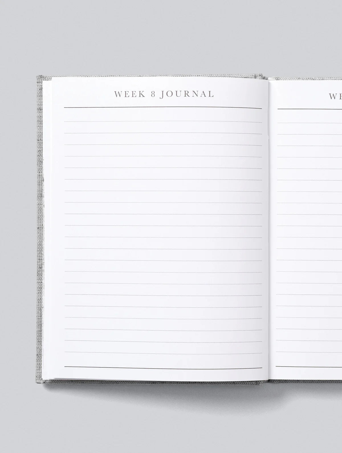 Write To Me - Bump.  A Pregnancy Story - Oatmeal
