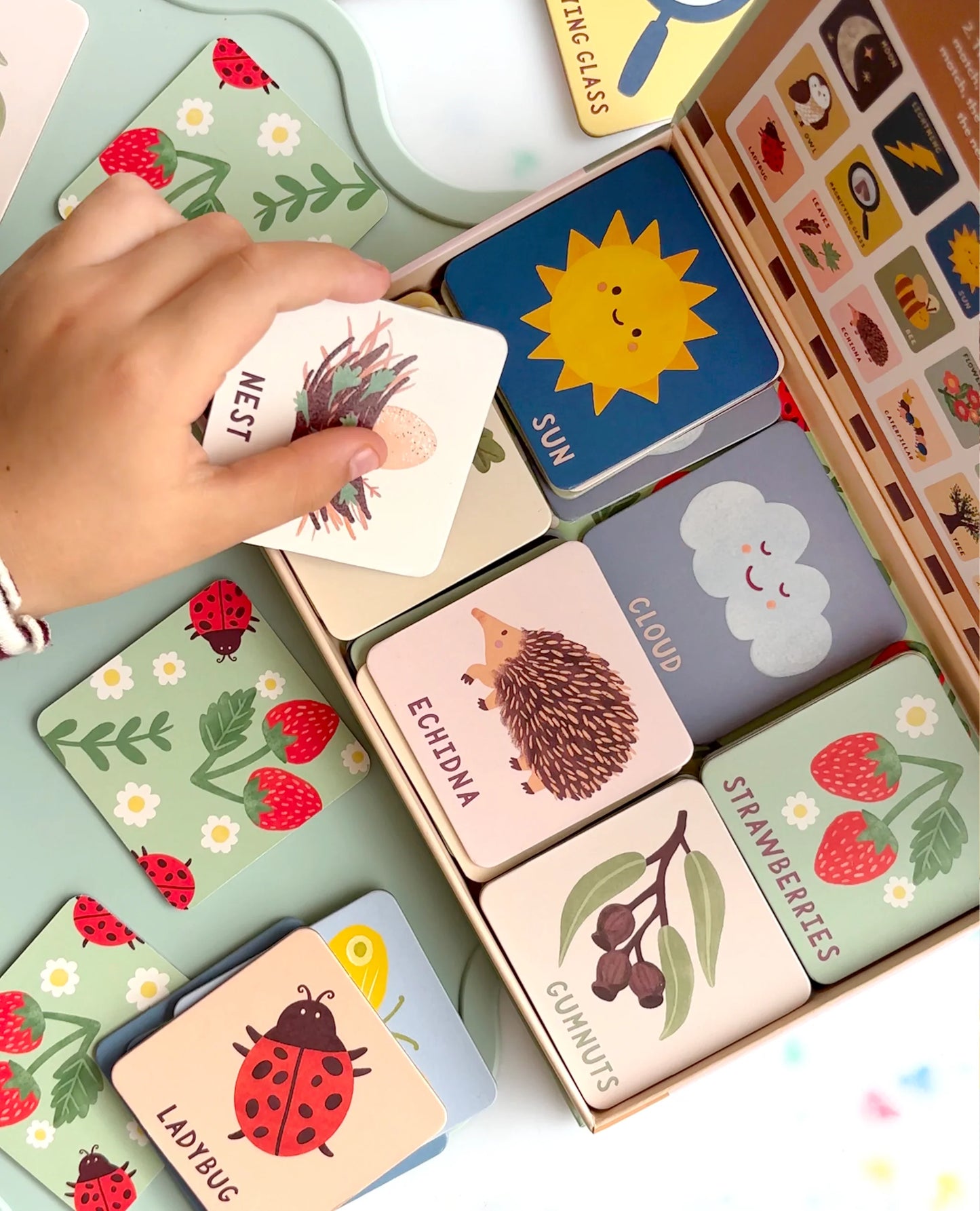 Lauren Sisson Studio - Forest Find Memory and Matching Game