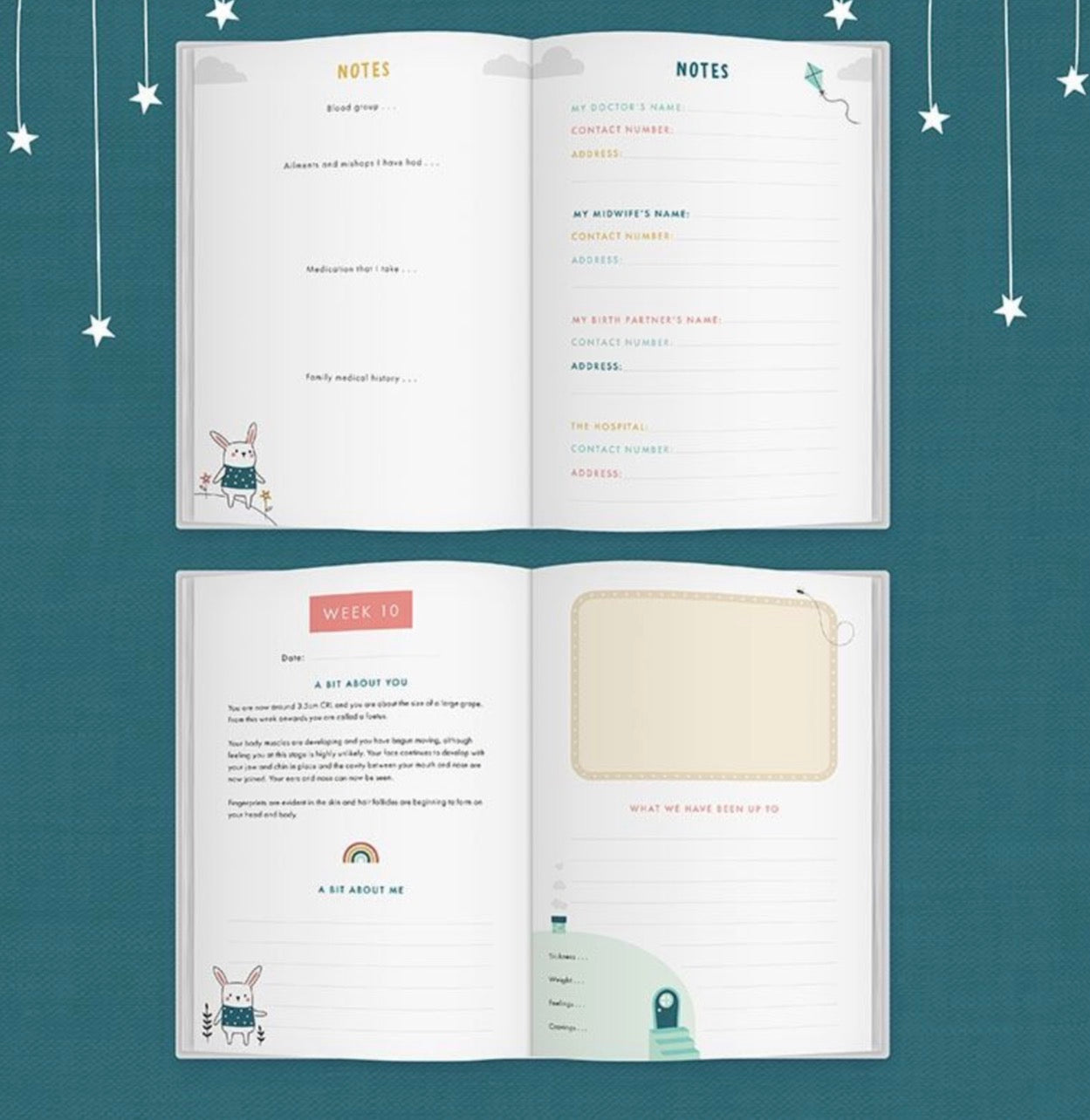 Bump to Birthday - A Pregnancy & First Year Journal