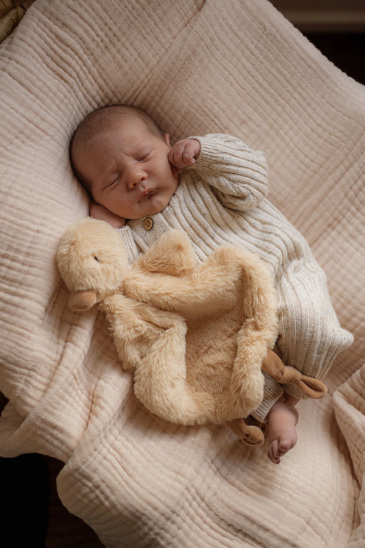 Comforter Toy | Quacks