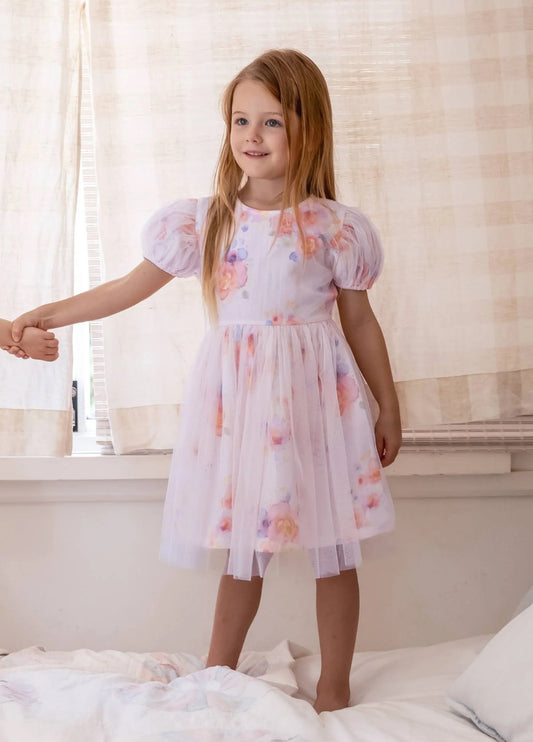 Alex&Ant Aria Dress Roses