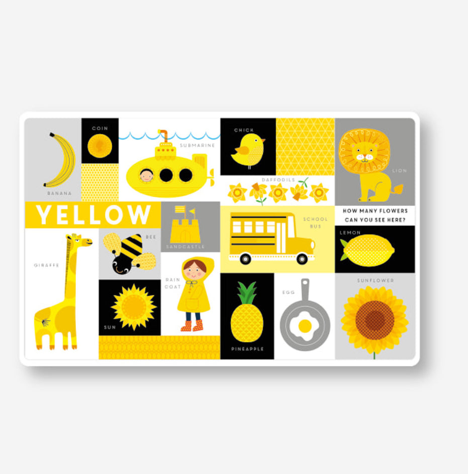 Colours Book- Lift the flap and learn