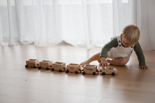 Qtoys Sorting Train & containers 2 years+