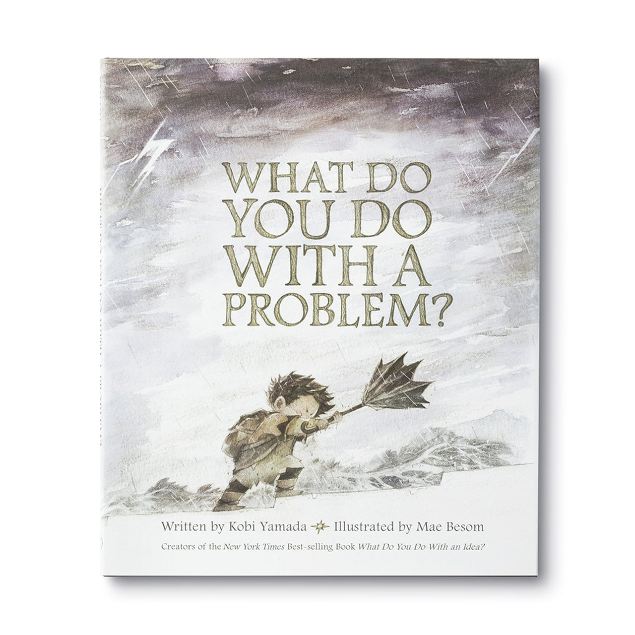 What Do You Do With A Problem, Story of A Persistent Problem , Kobi Yamada