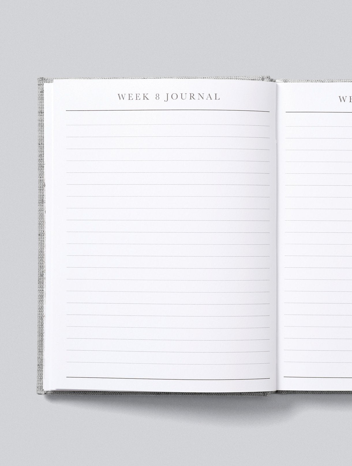Write To Me - Bump.  A Pregnancy Story - Oatmeal
