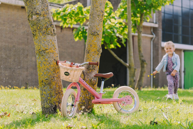 Trybike -2-in-1 tricycle balance bike - Pink