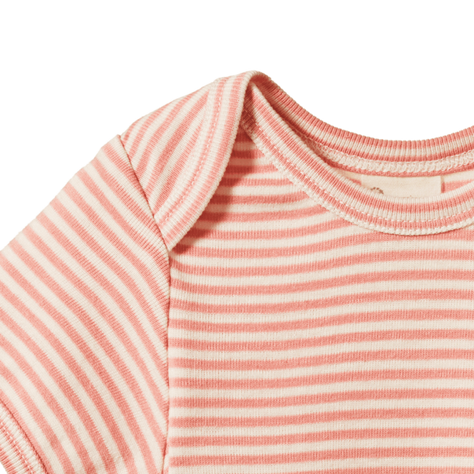 Nature Baby Short Sleeved Bodysuit - Peony Stripe